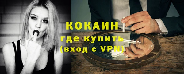 прущие грибы Беломорск