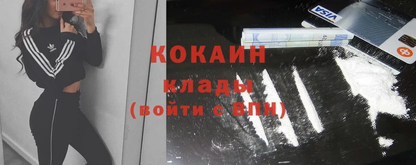 прущие грибы Беломорск