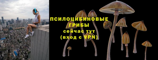 стафф Белоозёрский