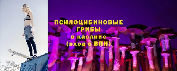 соль ск Белокуриха