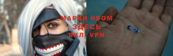 прущие грибы Беломорск