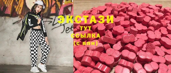 прущие грибы Беломорск