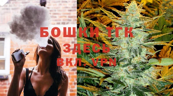 соль ск Белокуриха