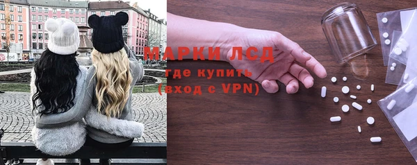 прущие грибы Беломорск