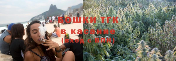 прущие грибы Беломорск