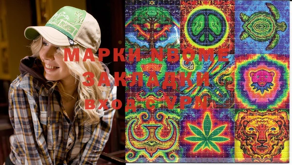 прущие грибы Беломорск