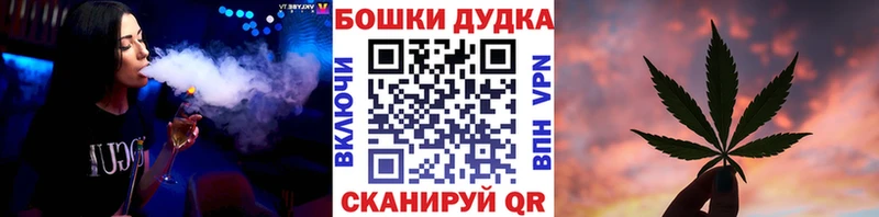 купить закладку Онега Бошки Шишки план